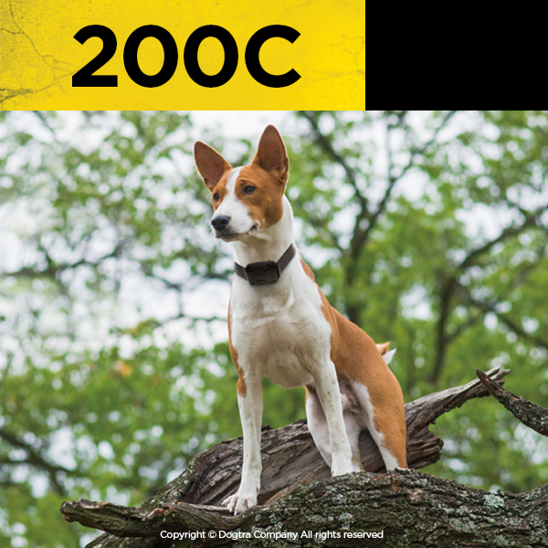 Dogtra 200c clearance