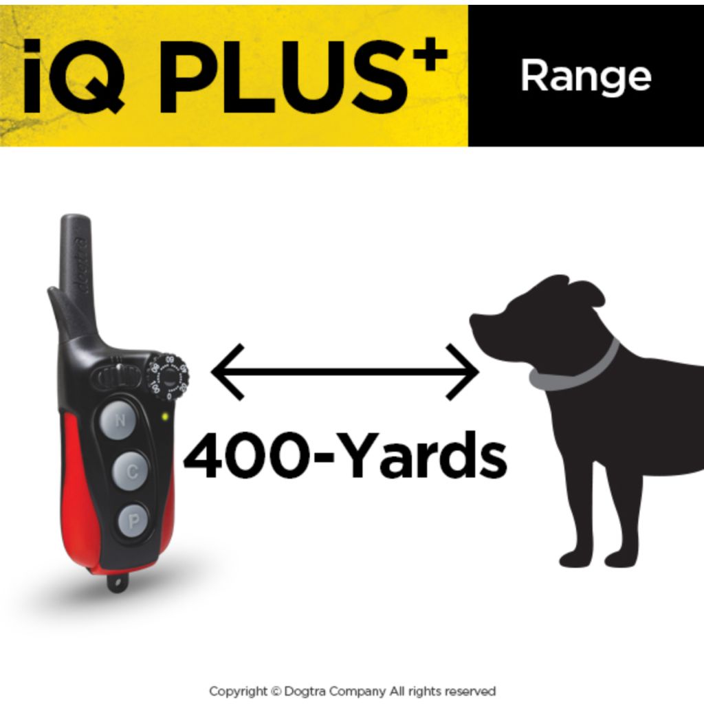 Dogtra iq hotsell plus manual