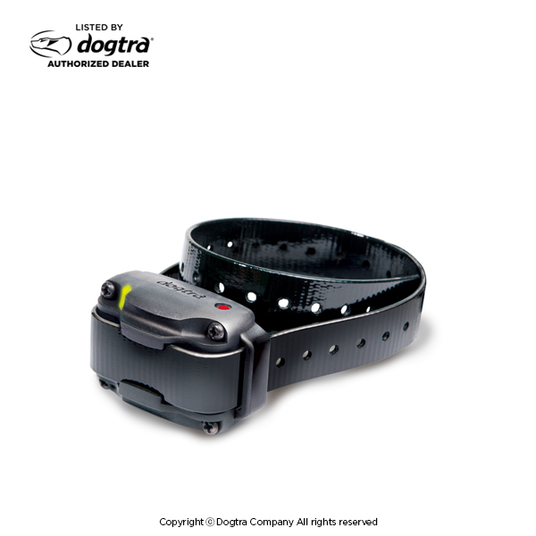 Dogtra replacement clearance collars